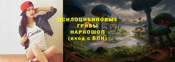 дурь Кулебаки