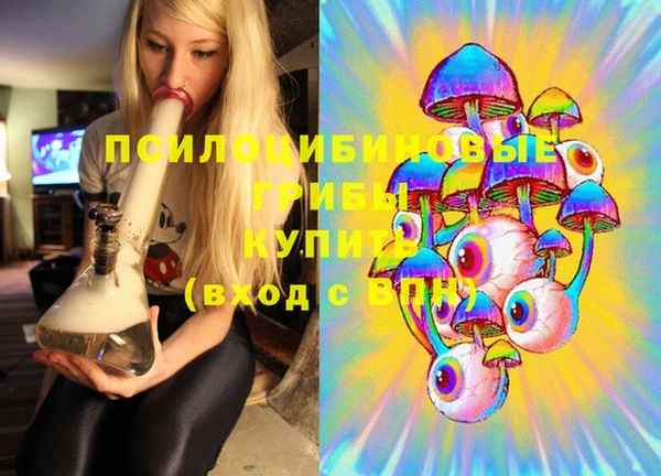 гидра Краснотурьинск
